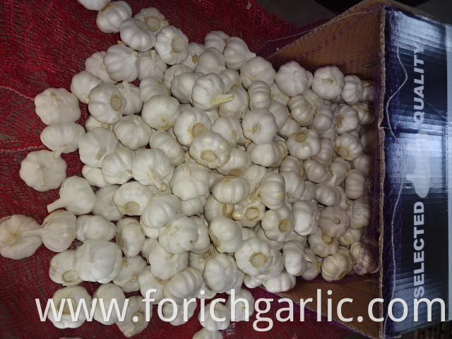 Loose Packing Fresh Pure Garlic